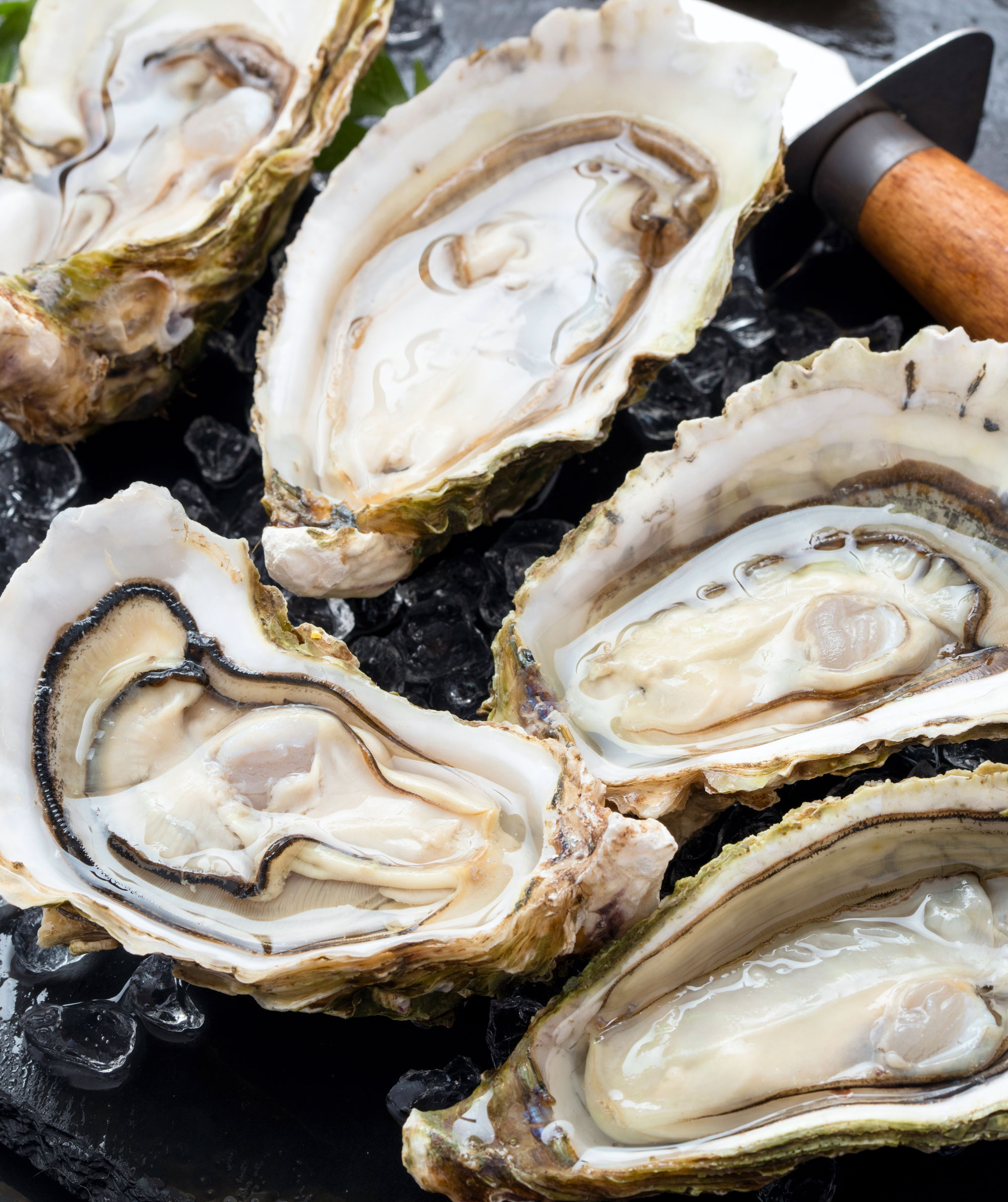 Spread of oysters with oyster knife